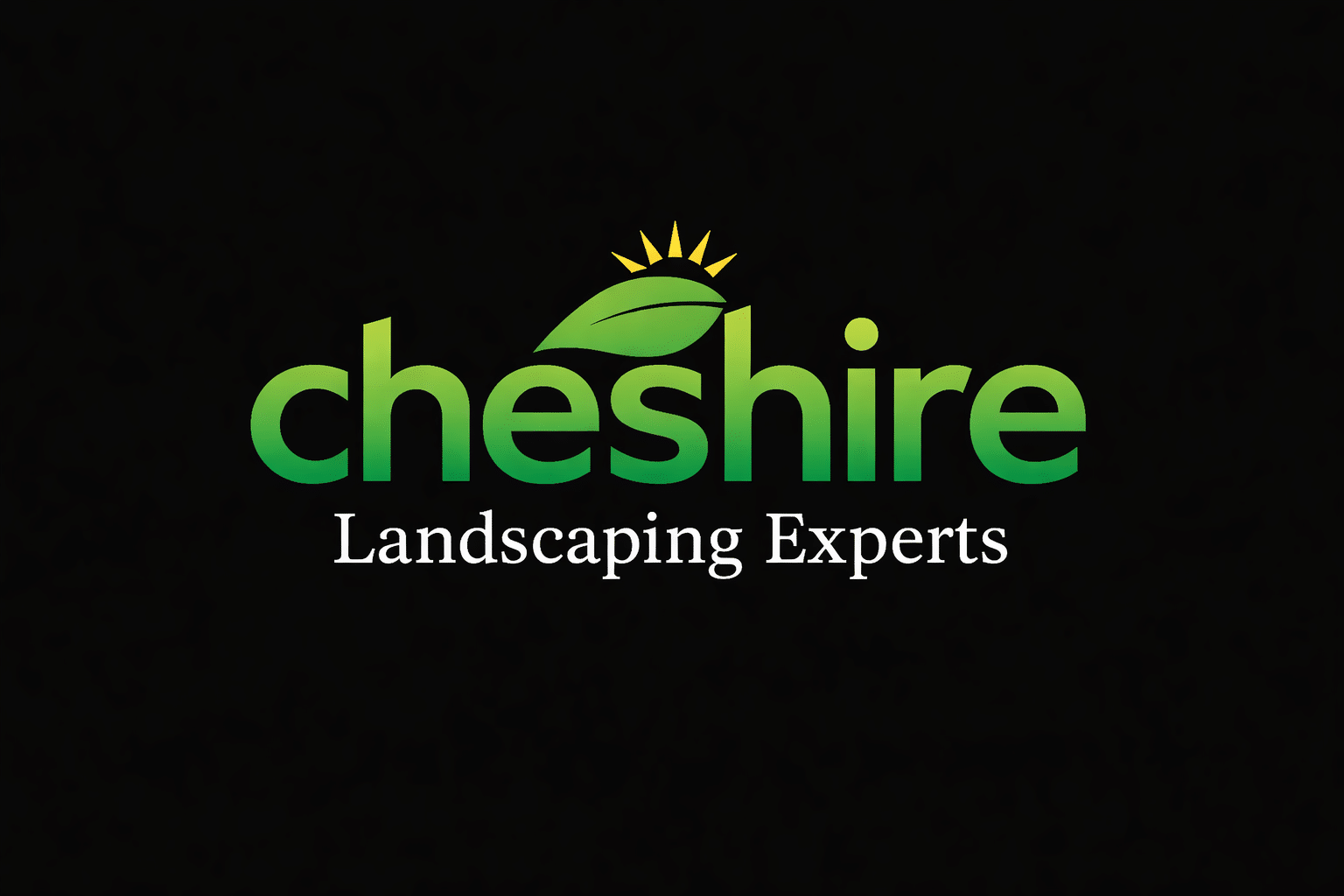 chatgpt image jan 22, 2026, 12 16 53 am